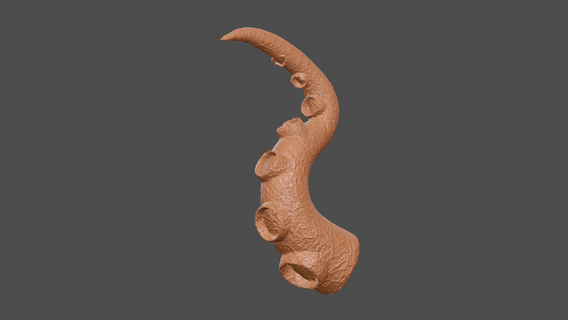 polpo tentacolo arte creatura alieno Hogwarts 3d print model - Mito3D