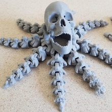 octoskullb divers imprimer la place flexible le poulpe crâne 3d print model - Mito3D