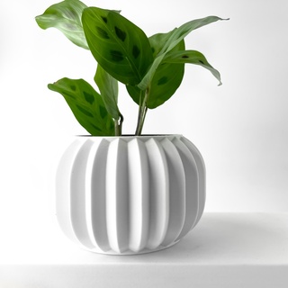 olin planter pot drainage tray & stand included modern unique home decor plants succulents stl file Home indoor flower succulent holder 3d print model - Mito3D