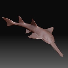 oncopristis peixe animal criatura Tubarão arte imprimível modelo high poly 3d print model - Mito3D