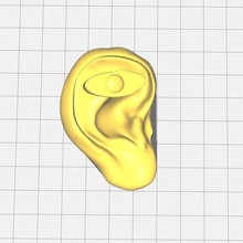one-eyed ear - 3d print model - Mito3D