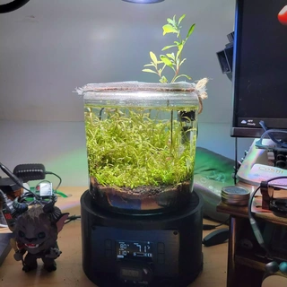 one gallon nano tank aquarium stand Home aquascape nanotank 3d print model - Mito3D