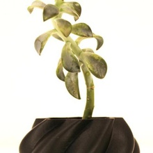 cebola plantador casa 3d print model - Mito3D