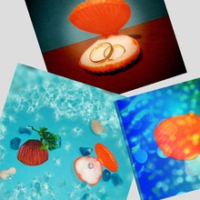 a abertura da concha do mar coleção arte vieira conchas abrir shell espelho decorativos decoração sabão caixa de presente titular seashell 3d print model - Mito3D