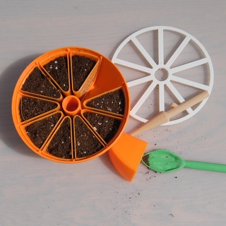 Orange graine entrée planteur plantes mignonne fruit 3d print model - Mito3D