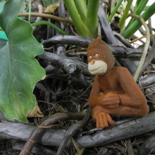 orangotango jogo 3d print model - Mito3D