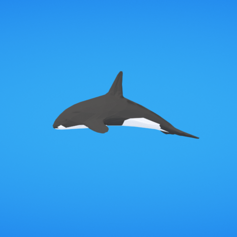 orca jogo 3D print model - Mito3D