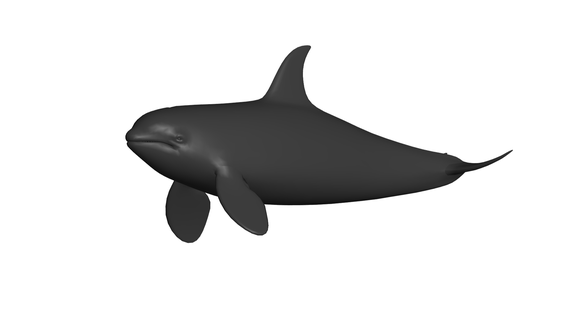 orca orca  3d print model - Mito3D