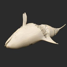 orca dead cthulhu game animals whale killer corpse call 3d print model - Mito3D