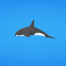 orca juego 3d print model - Mito3D