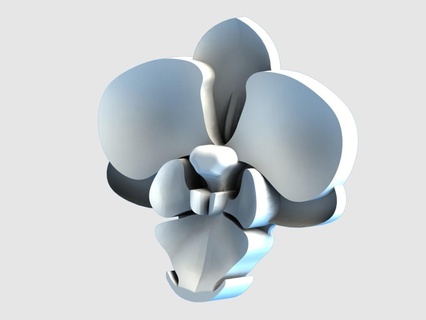 orquídea modelado broche moda 3d print model - Mito3D