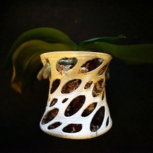 orquídea florero casa 3d print model - Mito3D