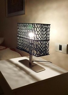 organisch Lampe Zuhause Haus Design Licht Energie LED 3d print model - Mito3D
