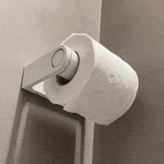 over engineered Toilette Papier Halter Unterstützung Badezimmer bagno porta 3d print model - Mito3D