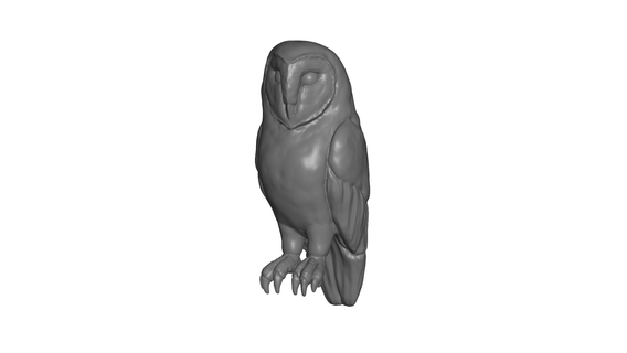coruja arte animal escultura selva 3d print model - Mito3D