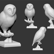 owl game art toy miniatures dnd moster olw 3d print model - Mito3D