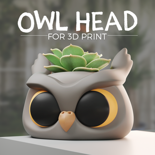 owl head planter buoh flower pot plant cute succulent matero 3d print model - Mito3D