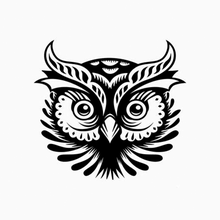 owl head nice animal bird night 3d print model - Mito3D