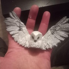 coruja Caçando arte asas nival ave voar escultura 3d print model - Mito3D
