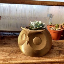 owl planter animal flowerpot pot ave suculent cactus garden toy 3d print model - Mito3D