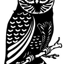 owl stl sticker 3d print model - Mito3D