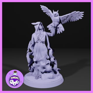 owl witch druid sorcerer sorceress wizard warlock female woman hero ttrpg dnd dungeonsanddragons miniature pathfinder 3d print model - Mito3D