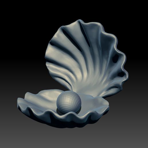 oyster sea ocean mollusk clam bibalvo marine fishing pearl pearls luxury 3D print model - Mito3D