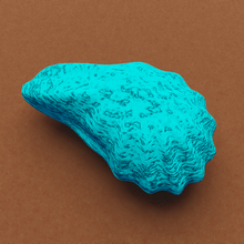 oyster shell 3d print model - Mito3D