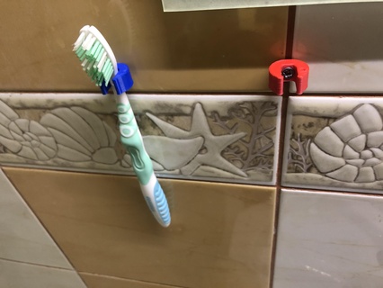 pac escova dente suporte 3d print model - Mito3D