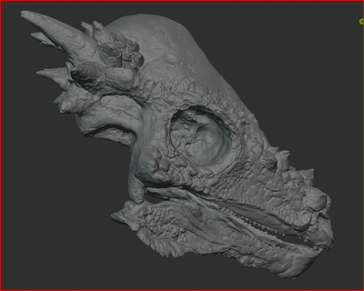 pachycephalosaurus skull dinosaur model skeleton pachy pachycepholosaurus 3d paleontology printing enthusiast jurassic era educational science education home decor collectible fossil replica high-detail digital download 3d print model - Mito3D