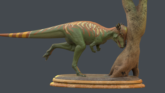 pachycephalosaurus wyomingensis - statue 3d printing 3d print model - Mito3D
