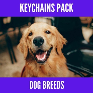 paketlemek köpek cinsler anahtarlık köpekler hatıra beagle altın av köpeği daksund wiener Fransızca bulldog boksör Shiba inu doge tilki teriyer hayvanlar Evcil Hayvan yavru Aşk anahtarlar 3d print model - Mito3D