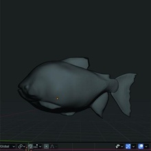pacu fish 3d print model - Mito3D