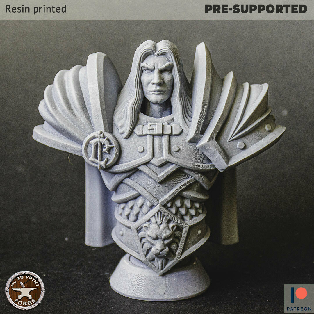 paladin bust fantasy warcraft dnd miniature stl presupported model resin wow human alliance warrior guard arthas prince 3D print model - Mito3D