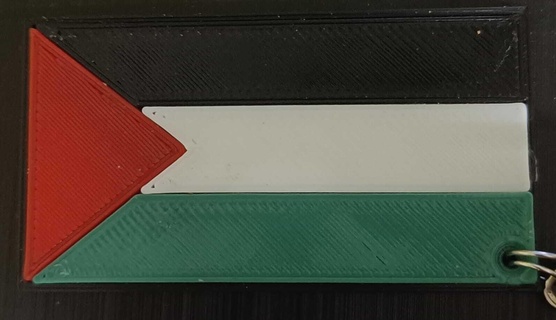 palestine flag keychain Various 3d print model - Mito3D