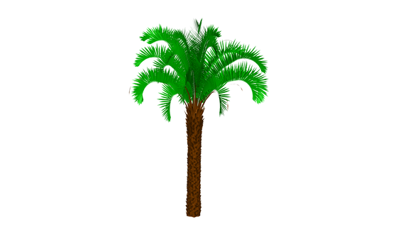 palma fiore pianta albero verde giardino 3d print model - Mito3D