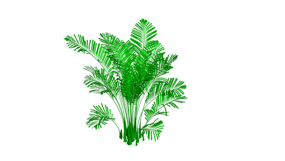 palm - flower plant tree green garden 3d print model - Mito3D