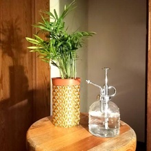 palm pattern vase garden pot plans tropical summer flower art 3d print model - Mito3D