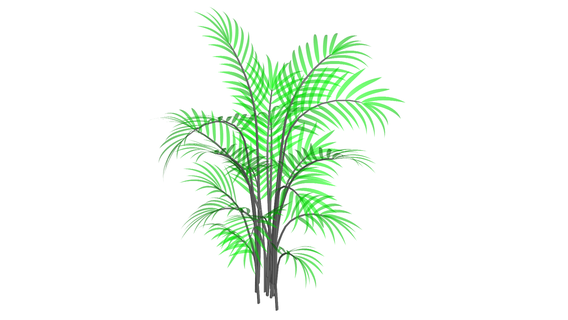palma albero fiore pianta verde giardino 3d print model - Mito3D