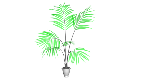 palma albero fiore pianta verde giardino 3d print model - Mito3D
