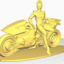 panam palmero motocicleta cyberpunk niña chaqueta rudo motociclista mujer 3d print model - Mito3D