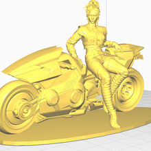 Panam Palmer Motorrad Cyberpunk Mädchen Jacke knallhart Biker Frau 3d print model - Mito3D