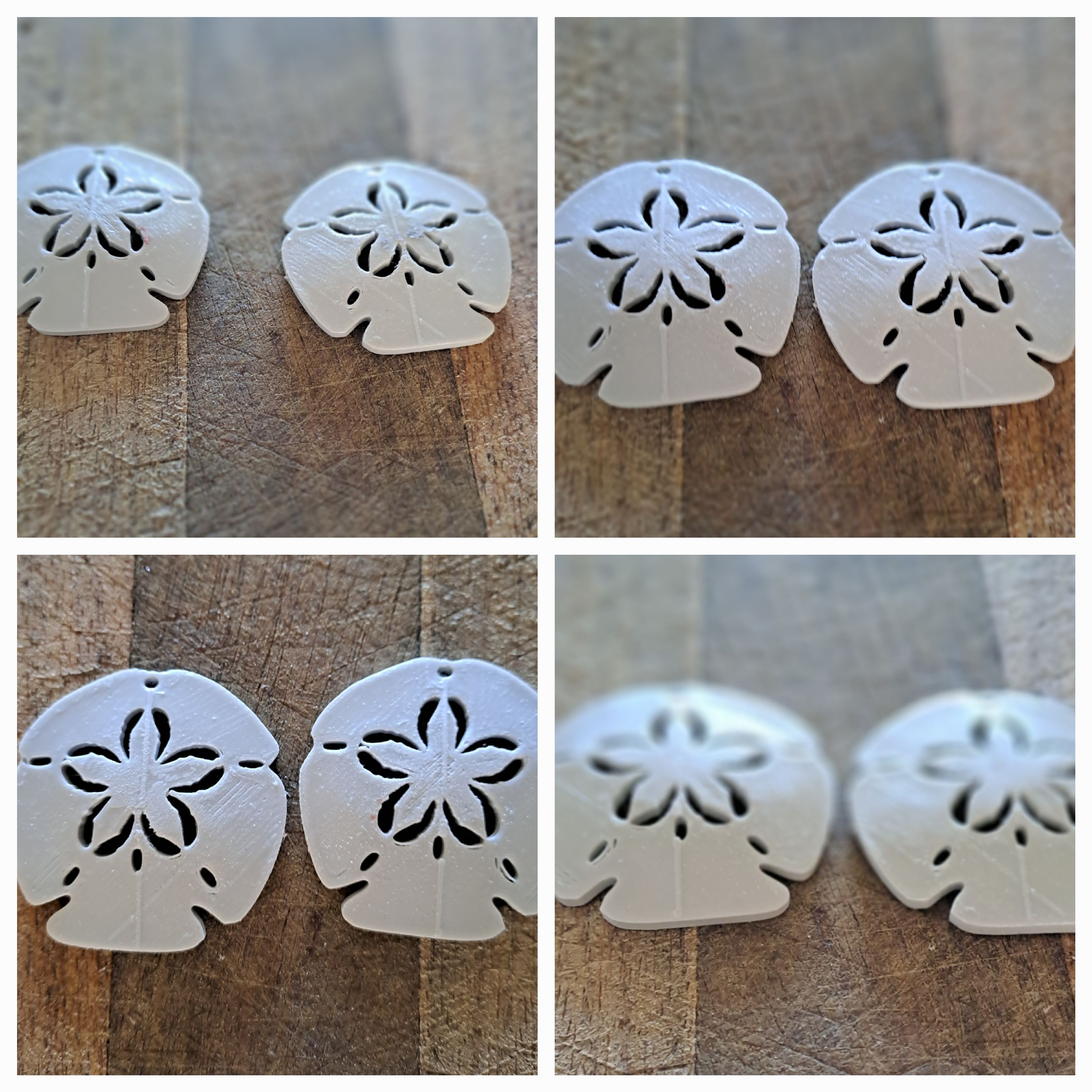 pansy shell sand dollar earring pendant Jewelry 3d printed earrings 3D print model - Mito3D