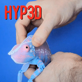 panther chameleon lizard reptile toy articulated print place animal fidget fun jungle stocking stuffer flexi hyped3d hyp3d 3d print model - Mito3D