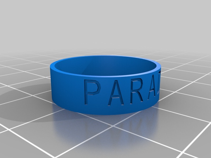 paradox customized rings 3d print model - Mito3D