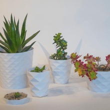 paramétrique des pots de fleurs la maison vase en spirale mode d'impression 3d print model - Mito3D