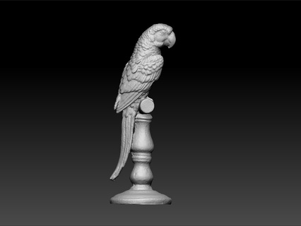 parrot Art on desk test model amazing animal royal beauty beautiful best shiny royality 3d print model - Mito3D