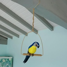 loro pájaro titular casa deco parrot de aves apoyo 3d print model - Mito3D