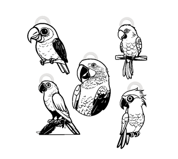 parrot keychain bundle set earrings necklace 3d print model - Mito3D