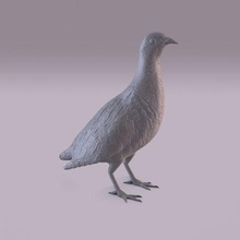 Rebhuhn Vogel Tier wild Statue Miniatur Figur Dekoration Innere Außen 3d print model - Mito3D